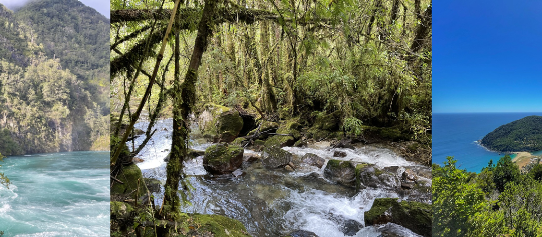 Sustentabilidad Y Gestión Ambiental