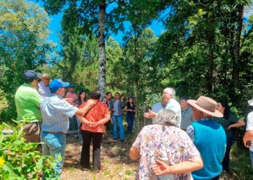 Extensionismo Forestal y Desarrollo Rural Sustentable