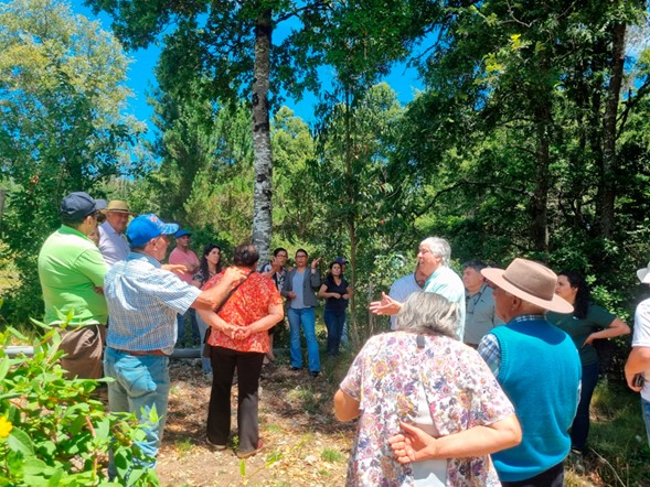 Extensionismo Forestal y Desarrollo Rural Sustentable
