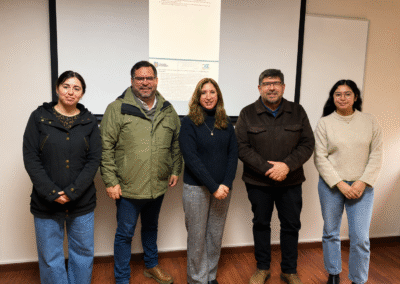 Auditoria externa (12)